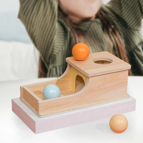 Montessori Target Box